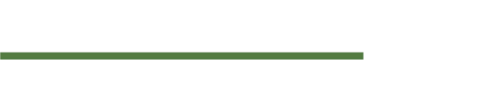 Wildstone logo